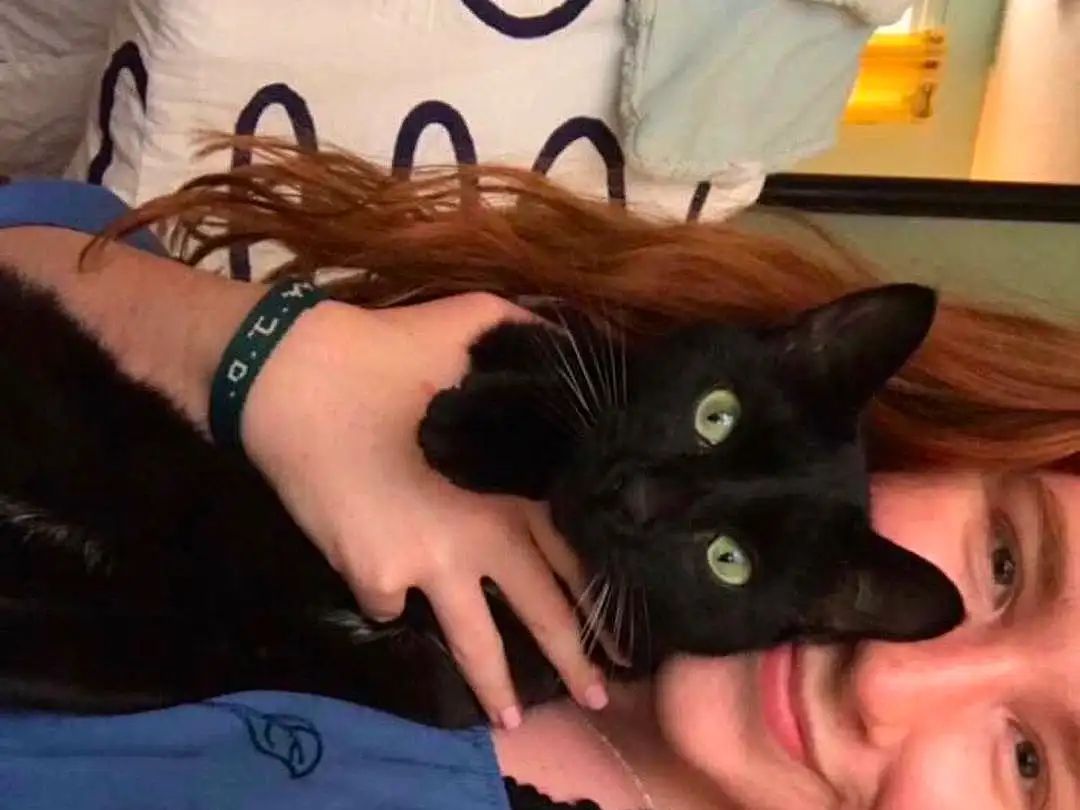 Cat, Head, Hand, Glasses, Costume