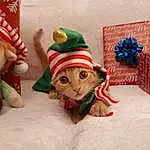 Head, Window, Christmas Ornament, Wood, Toy, Creative Arts, Red, Ornament, Art, Christmas, Tree, Christmas Decoration, Event, Holiday, Sculpture, Carmine, Room, Child, Interior Design, Visual Arts