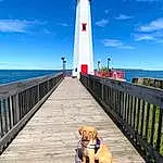 Lighthouse, Sky, Cloud, Dog, Water, Blue, Tower, Building, Dog breed, Carnivore, Horizon, Companion dog, Summer, Wood, Leisure, Beacon, Fence, Walkway, Shore, Tourism