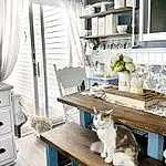 Table, Furniture, Cat, White, Wood, Interior Design, Grey, Building, Carnivore, Comfort, Plant, Cabinetry, Curtain, Real Estate, House, Living Room, Window Blind, Hardwood