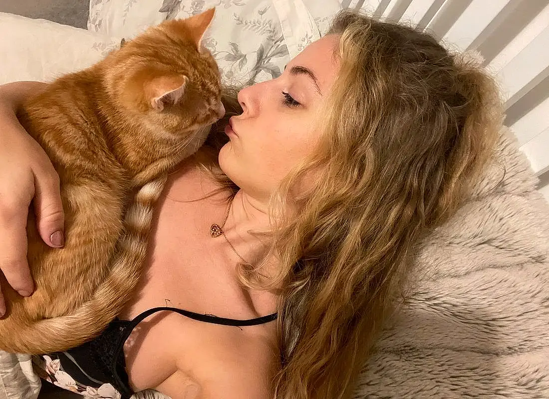 Cat, Mouth, Comfort, Kiss, Ear, Jaw, Neck, Happy, Eyelash, Gesture, Felidae, Interaction, Fawn, Carnivore, Whiskers, Small To Medium-sized Cats, Long Hair, Blond, Jewellery, Brown Hair
