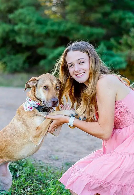 Clothing, Smile, Dog, Plant, Dog breed, Carnivore, People In Nature, Tree, Dress, Happy, Flash Photography, Pink, Companion dog, Fawn, Grass, Leisure, Recreation, Canidae, Blond