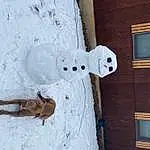 Snowman, Window, Snow, Blue, Wood, Freezing, Winter, Art, Door, Building, Slope, Ball, Concrete, Precipitation