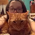 Glasses, Head, Cat, Felidae, Comfort, Carnivore, Ear, Vision Care, Small To Medium-sized Cats, Iris, Whiskers, Fawn, Snout, Domestic Short-haired Cat, Furry friends, Happy, Eyewear, Selfie, Sitting