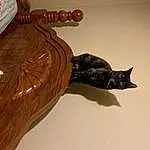 Cat, Wood, Carnivore, Felidae, Whiskers, Small To Medium-sized Cats, Black cats, Artifact, Tail, Sculpture, Wood Stain, Art, Hardwood, Varnish, Comfort, Domestic Short-haired Cat, Furry friends, Toy