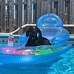 Water, Blue, Fluid, Outdoor Recreation, Leisure, Recreation, Fun, Liquid, Personal Protective Equipment, Electric Blue, Swimming Pool, Games, Nonbuilding Structure, Inflatable, Toy, Plastic, Ball, Sports Toy, Leisure Centre, Water Transportation