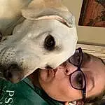 Nose, Glasses, Dog, Mouth, Dog breed, Ear, Jaw, Carnivore, Vision Care, Eyelash, Companion dog, Fawn, Working Animal, Whiskers, Happy, Snout, Selfie