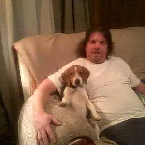 Name Beagle Dog Gary
