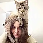 Shoulder, Cat, Ear, Eyelash, Neck, Jaw, Iris, Gesture, Carnivore, Fawn, Felidae, Happy, Small To Medium-sized Cats, Whiskers, Fashion Design, Furry friends, Headpiece, Blond, Fur Clothing, Brown Hair